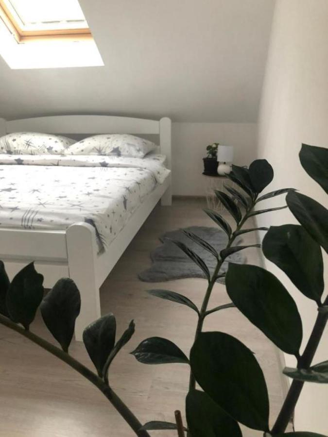 Peaceful Apartment Плужине Екстериор снимка